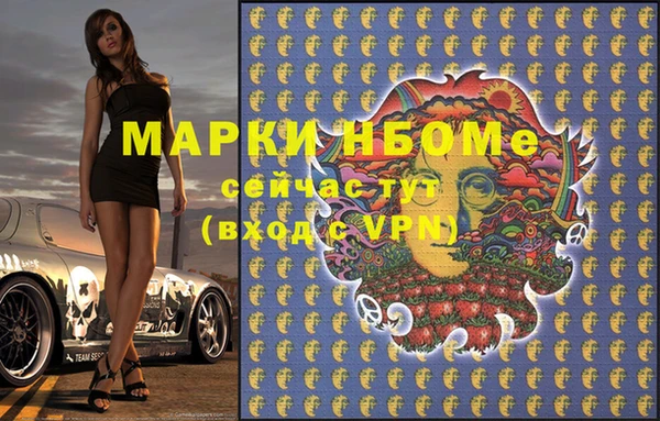 apvp Кукмор