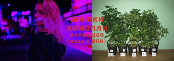 молекула духа Пенза