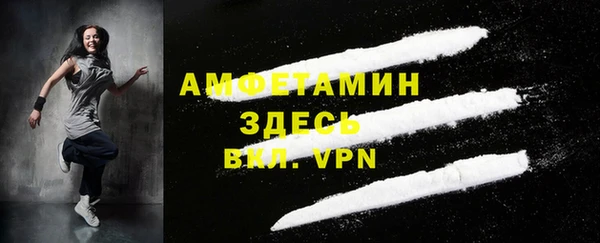 сатива Корсаков