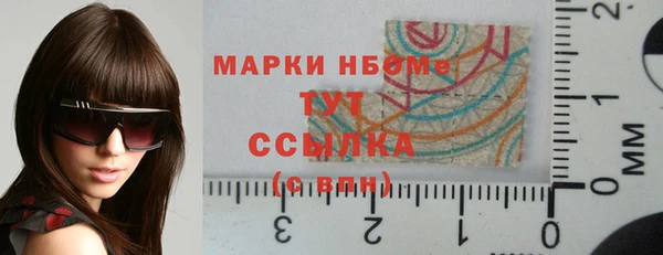 apvp Кукмор