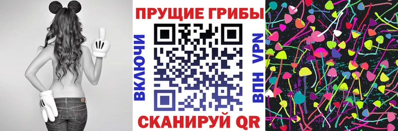 Купить  Павлово  Псилоцибиновые грибы GOLDEN TEACHER